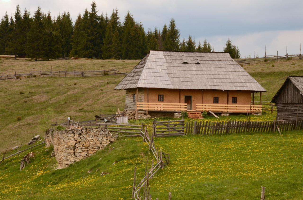 Casa Florea Poiana Stampei 외부 사진
